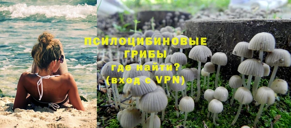 эйфоретик Кодинск