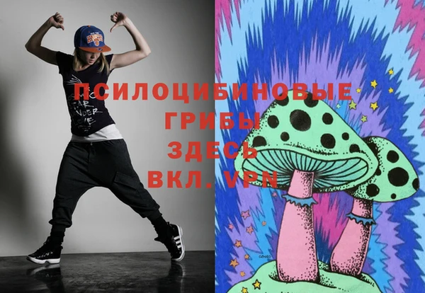 ПСИЛОЦИБИНОВЫЕ ГРИБЫ Козельск