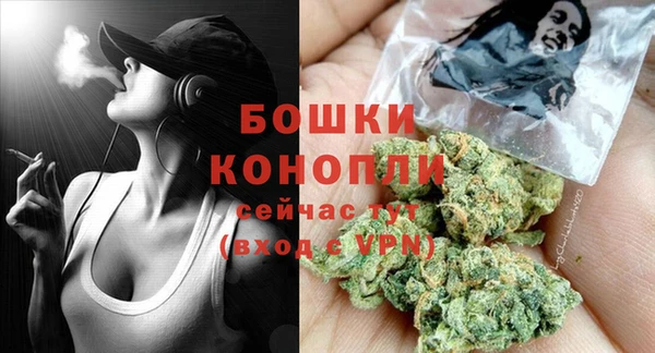 мдпв Костерёво
