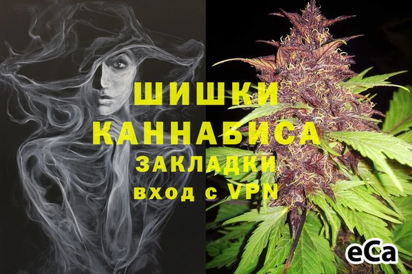 ПСИЛОЦИБИНОВЫЕ ГРИБЫ Козельск