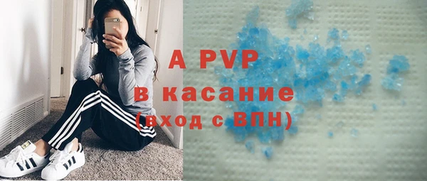прущие грибы Красноперекопск