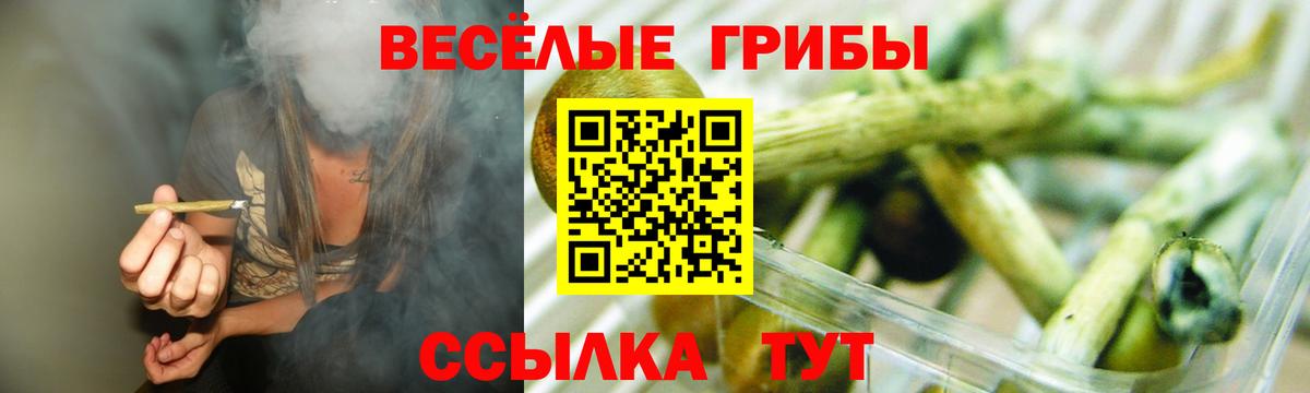 Красный Сулин  Галлюциногенные грибы Psilocybine cubensis  Галлюциногенные грибы мухоморы  Вход с VPN 